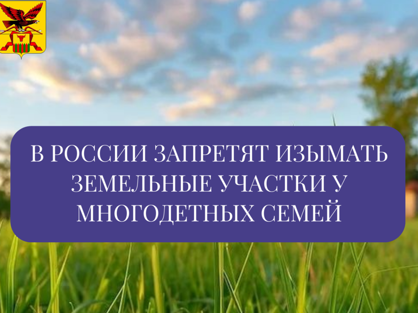 Земельные участки многодетных семей запретят изымать за долги